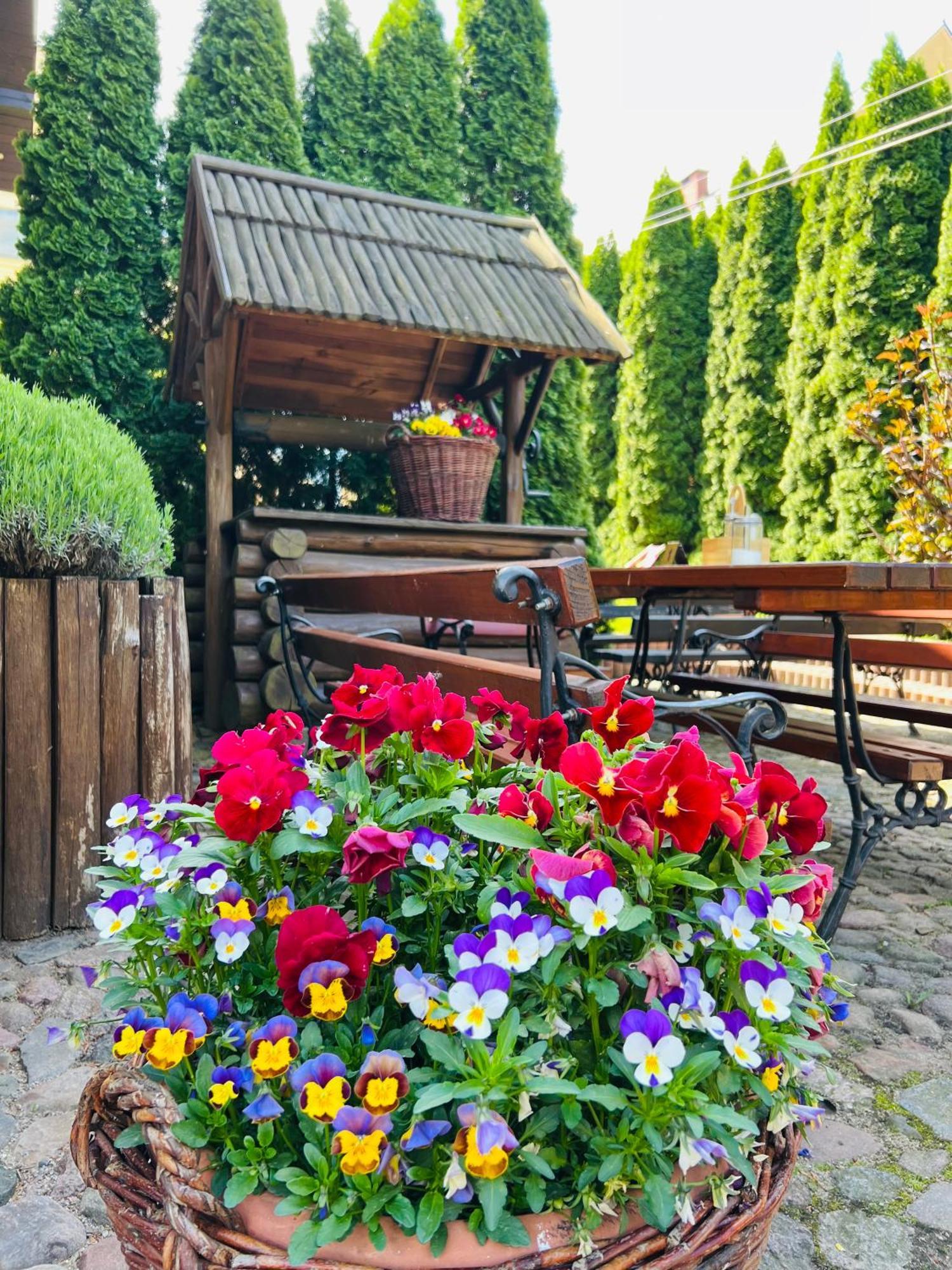 Bed and breakfast Pod Katedra Drohiczyn